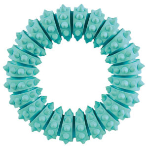 Juguete Anillo Denta Fun Caucho Natural Menta 9X12 cm