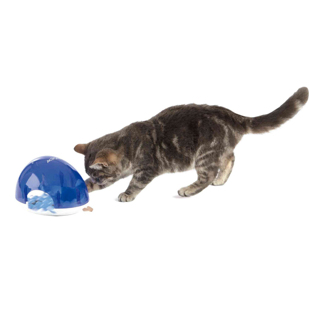 Cat Activity Come Despacio 19X13X14 cm