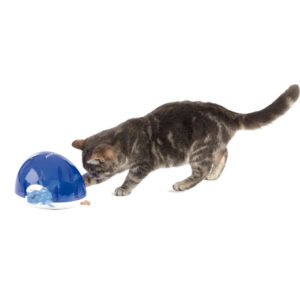 Cat Activity Come Despacio 19X13X14 cm
