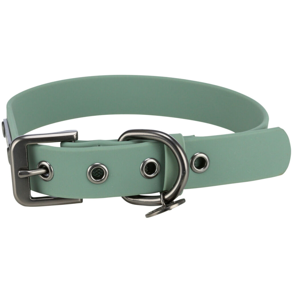 Citystyle Collar Pvc M-l 40-47CM25 mm