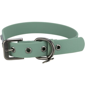 Citystyle Collar Pvc M-l 40-47CM25 mm