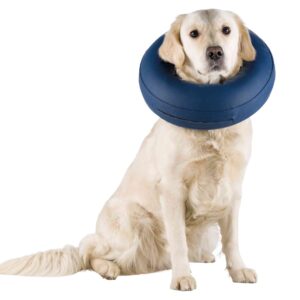 Collar Isabelino Inflable Talla Xxs