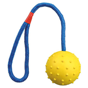 Pelota Caucho Con Cuerda 6 cm