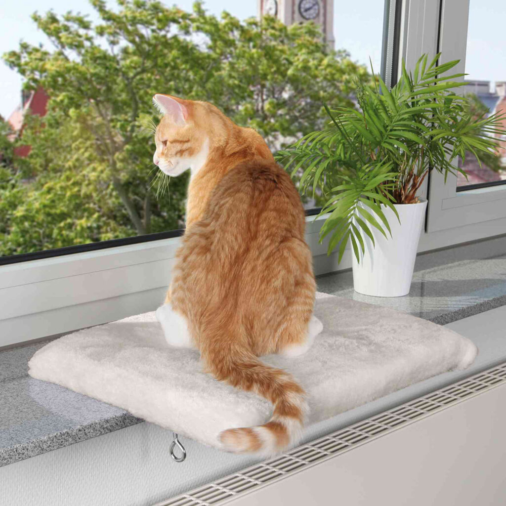 Plataforma Gatos Ventana Trixie