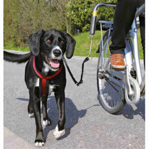 Extension Bicicleta Walky Dod