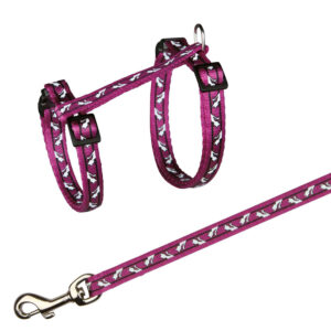 Set Arnes+correa Gatos Colores Surtidos