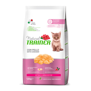 Trainer Cat Kitten 1.5 Kilos