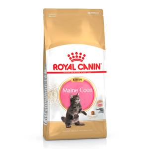 Royal Canin Cat Kitten Maine Coon 4 kg