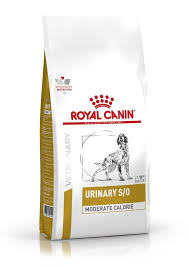 Royal Canin Dog Urinary Moderate Calorie 6.5 kg Dieta