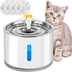 Fuente Gatos 2.4 Litros