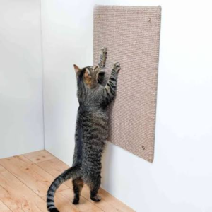 Rascador Cat Congo Tabla