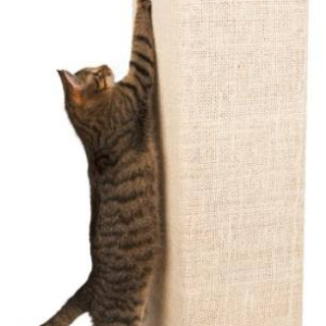 Rascador Pared Raspa