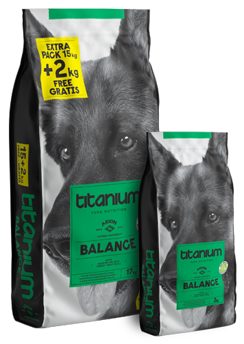 Arion Titanium Dog Balance 15 kg