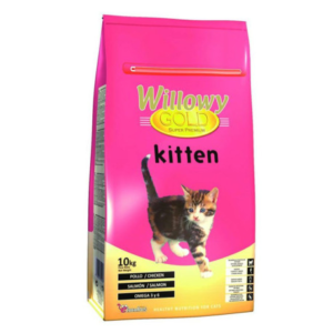 Willowy Gold Cat Kitten 10 kg