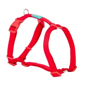 Arnes Nylon Basic Rojo 10X20-36 cm