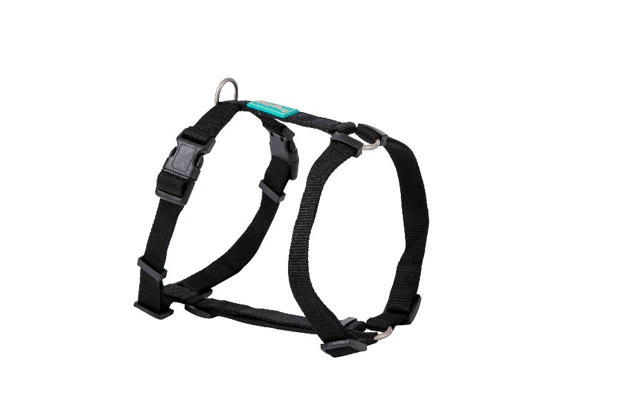 Arnes Nylon Basic Negro 10X20-36 cm