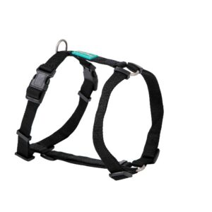 Arnes Nylon Basic Negro 25X70-90 cm