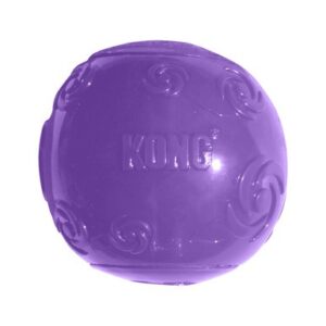 Kong Dog Squeezz Pelota Grande Psb1e Glo