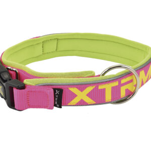 Collar X-trm Neon Flash Fucsia 15MM*28-35 cm
