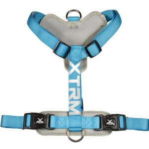 Arnes X-trm Cronos Neon Flash Azul 25 mm X 60-100 cm
