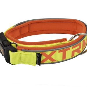 Collar X-trm Neon Flash Limon 38MM*50-70 cm