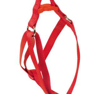 Arnes Basic Rojo 20 mm X 45-60 cm