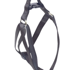 Arnes Basic Negro 10 mm X 15-25 cm