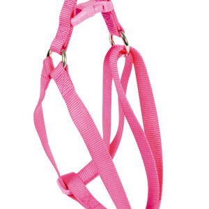 Arnes Basic Fucsia 25 mm X 45-60 cm