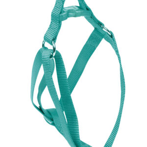 Arnes Basic Aguamarina 15 mm X 25-40 cm