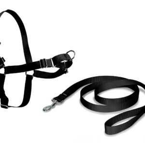 Arnes Corrector Easy Walk Negro Talla S