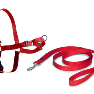 Arnes Corrector Easy Walk Rojo Talla Xl