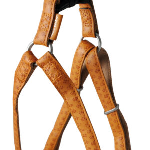 Arnes Mac Leather Marron 25 mm X 60-100 cm