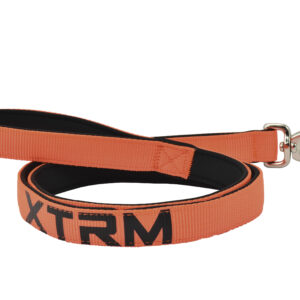 Correa X-trm Neon Flash Naranja 25MM.*120 cm