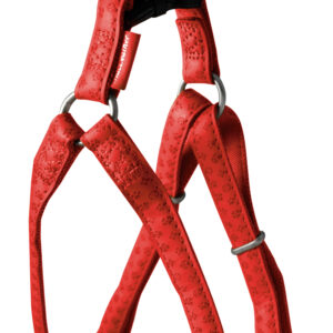 Arnes Mac Leather Rojo 15 mm X 35-60 cm