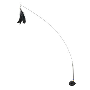 Juego Cat Con Pluma