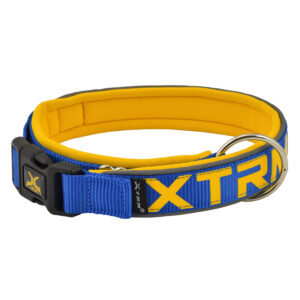 Collar X-trm Neon Flash Cobalto 15 mm X 28-35 cm