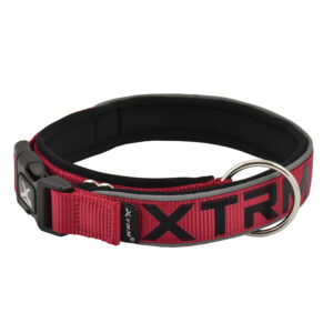 Collar X-trm Neon Flash Rojo-negro 25 mm X 45-55 cm