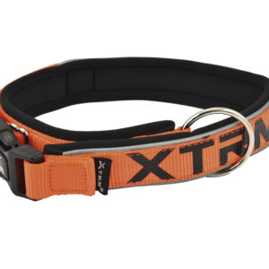 Collar X-trm Neon Flash Naranja 25 mm X 45-55 cm