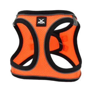 Arnes X-trm Neo Naranja Xxxs 26-30 cm