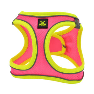 Arnes X-trm Neo Fucsia M 45-50 cm