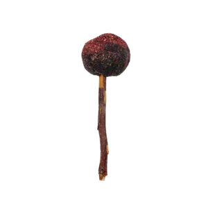 Lolly Roedores Grosella, Frambuesa Y Manzana 30 g Woodchuck