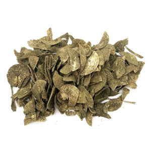 Chips Roedores De Abedul Y Equinacea 100 g Woodchuck