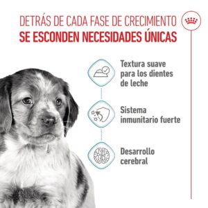 Royal Canin Sobres Dog Puppy Medium 140 g