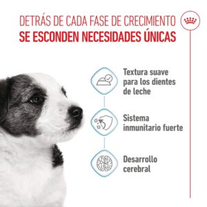 Royal Canin Sobres Dog Mini Puppy 85 g