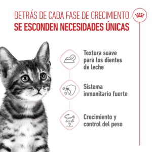 Royal Canin Sobres Cat Kitten Sterilised Salsa 85 g