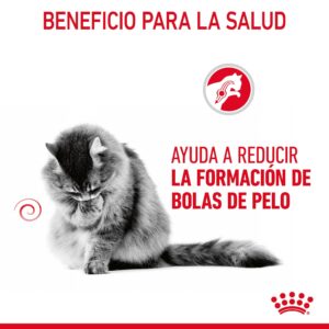 Royal Canin Sobres Cat Hairball Salsa 85 g