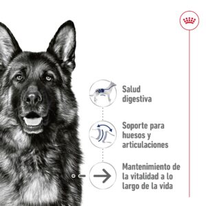 Royal Canin Sobres Humedos Dog Maxi Ageing 140 g