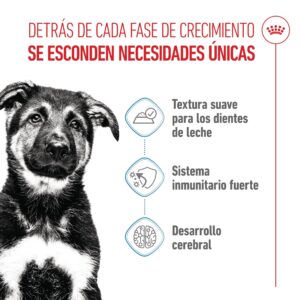 Royal Canin Sobres Humedos Dog Puppy Maxi 140 g