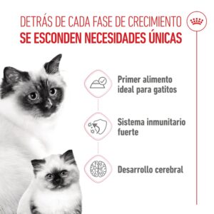 Royal Canin Lata Cat Mother Y Babycat 195 g