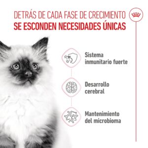 Royal Canin Cat Kitten 36 De 400 g